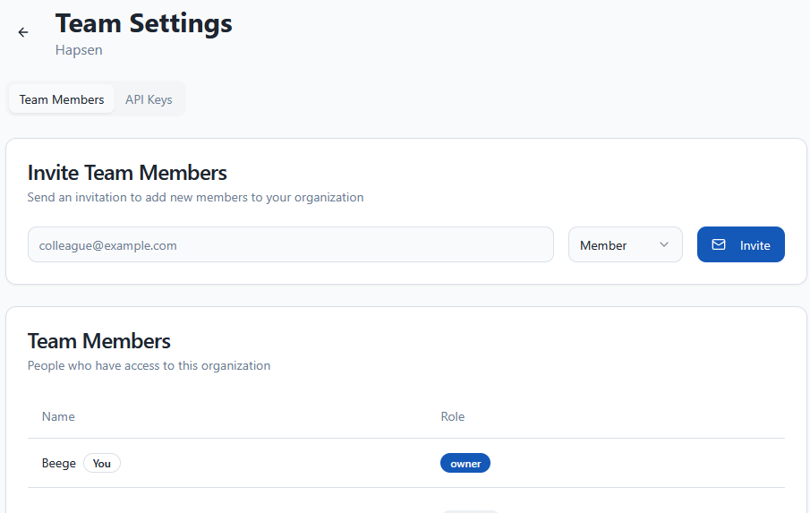 VizPlan team settings page showing member management and API key configuration